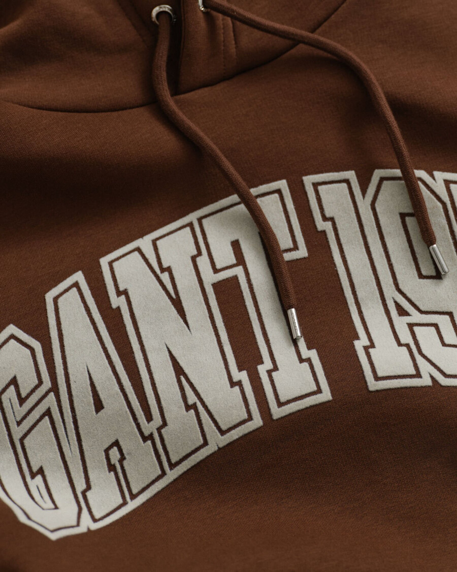 sudadera con capucha gráfica - marrón caoba